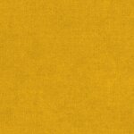 105 - curry