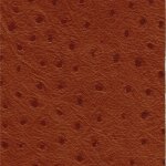 2532 - tan