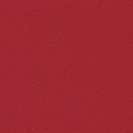 4009 - kirsche