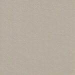 1190 - savannenbeige