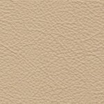 3856 - saharabeige