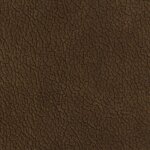 chestnut