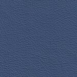 1124 - merlinblau