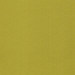 Lemon - 9918