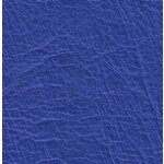 5598 - capriblau
