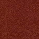 2600 - cognac