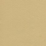 3588 - crema