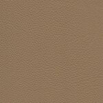 3688 - savanne