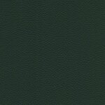 7242 - forest