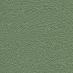 7830 - mint