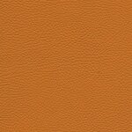 8350 - mimosa