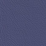 5458H - ocean