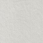 8462 silver grey