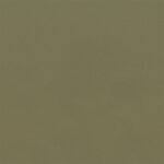 3160 - camel