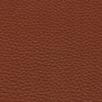 2584 - inca