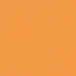 05 apricot
