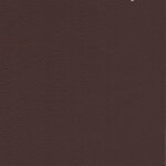 2289 - havanna