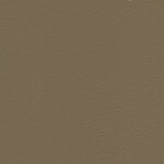 7816 - khaki