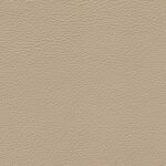 1602 - samtbeige