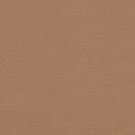 1233 - sandbeige