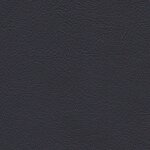 1229 - metropolblau