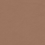 1250 - cognac natur