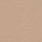 1251 - zeder natur