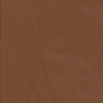 2699 - cognac hell