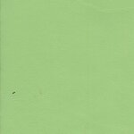 7893 - pistazie