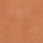 2810 - cognac