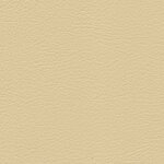 1356 - champagner