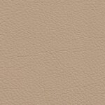 1384 - sandbeige/java