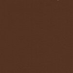 2437 - hazelnut