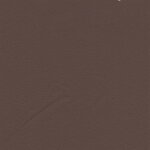 2491 - caffee