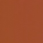 4848 - coral