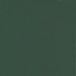 7466 - seaweed