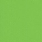 7791 - kawasakigrün