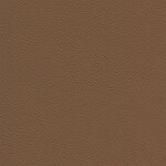 2794 - pecan