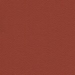4818 - mandarine
