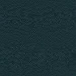5856 - petrol
