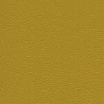 8647 - gelb