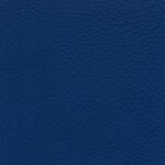 5679 - capriblau