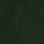 7437 - forest