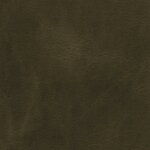7247 - fango