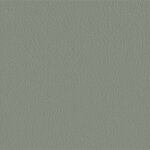 206 x 231 - grau