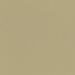 206 x 226 - taube