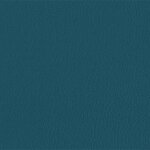 206 x 237 - petrolblau