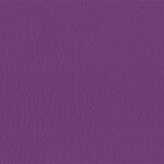 206 x 238 - violett