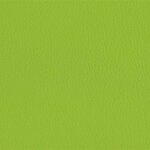 206 x 236 - limegreen