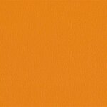 206 x 203 - mandarine